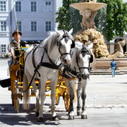 IMG-0762-3
