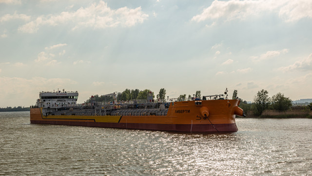 IMG 0528.jpg