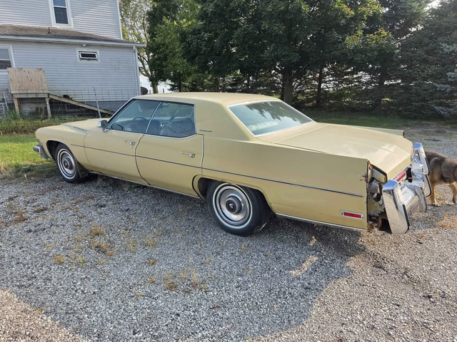 1974 Custom.jpg