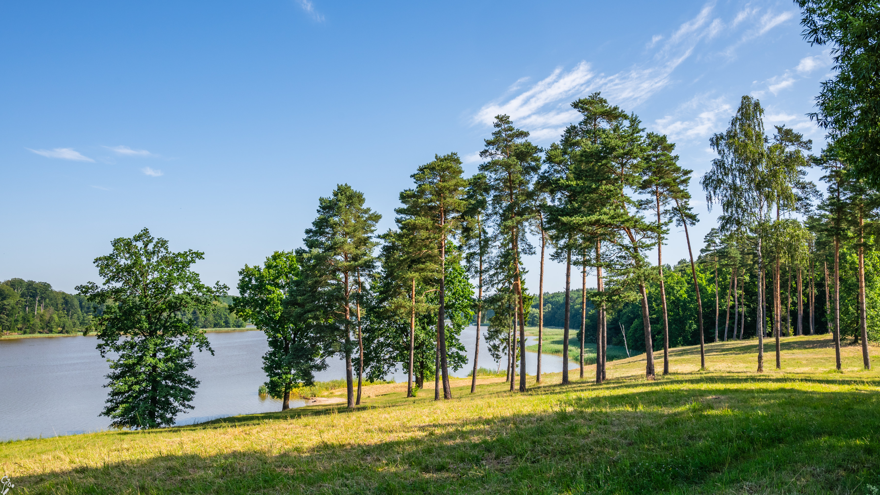 warmia d1 01