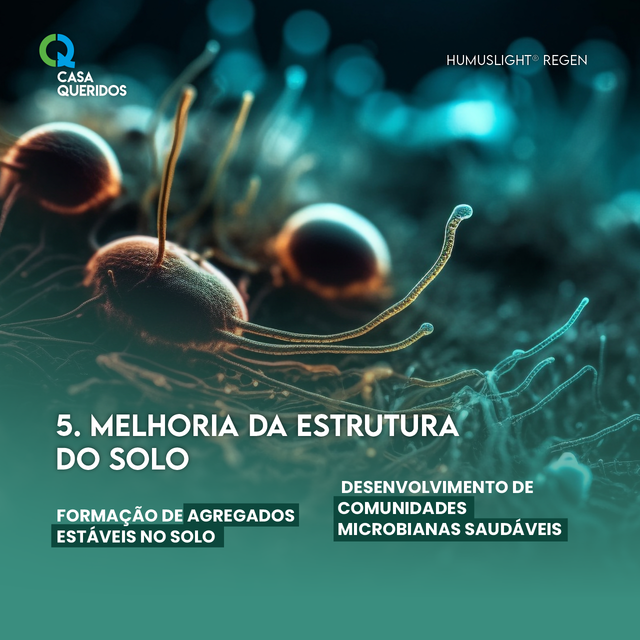 Humuslight Regen melhora a estrutura do solo