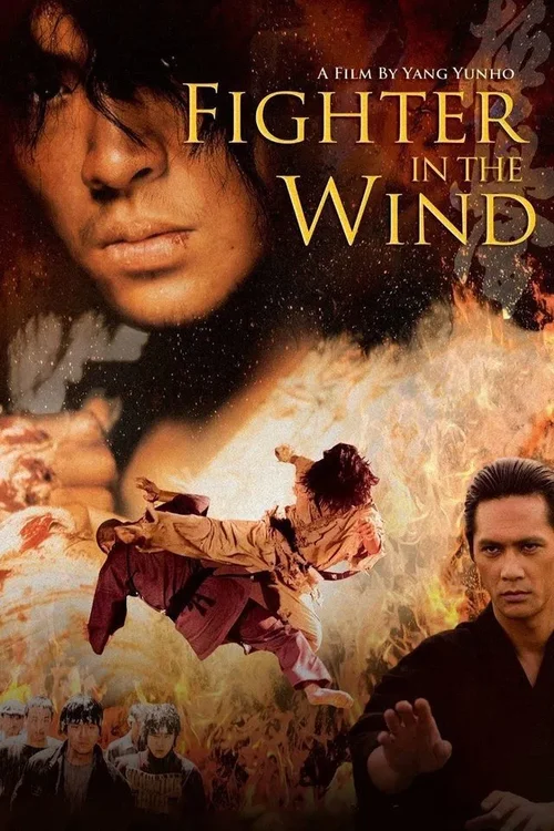 Fighter in the Wind / Baramui Fighter (2004) PL.720p.BDRip.XviD.AC3-ELiTE / Lektor PL