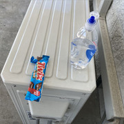 picnic