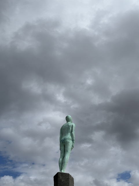IMG-8366