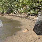 IMG 5436