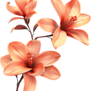 a72deb20f5bfc811b6008230a596f46c