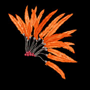 shutterstock 1814025290