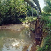 03 Kodak Vision 250D005