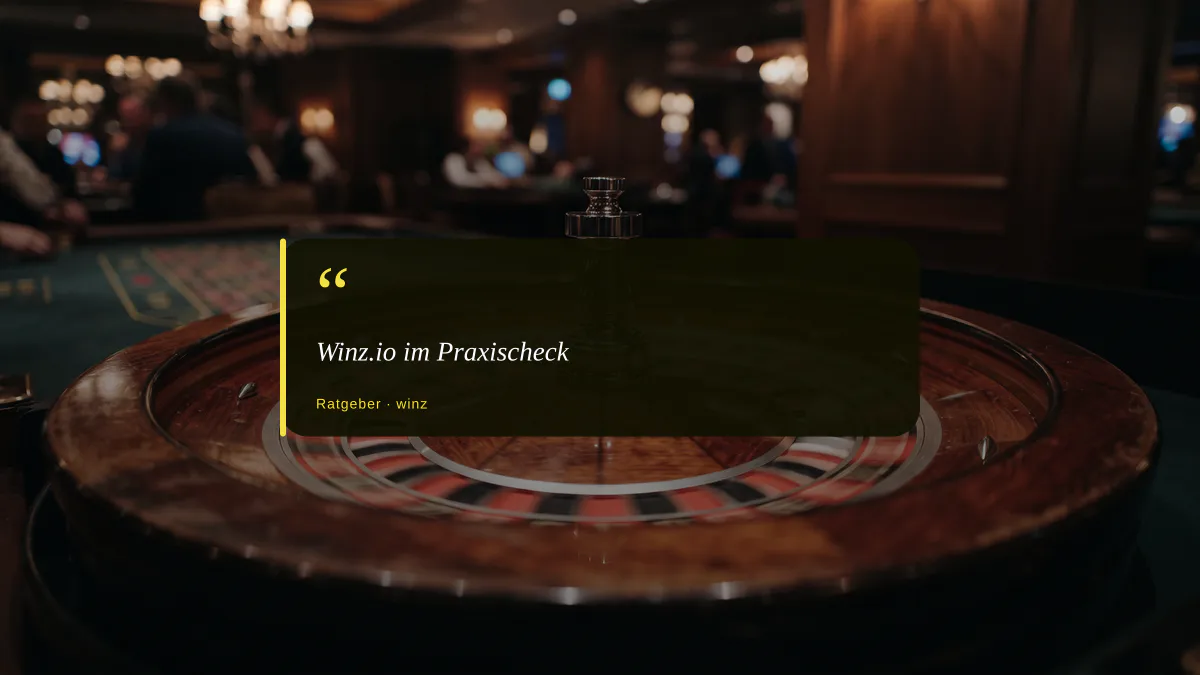 Winz.io im Praxischeck
