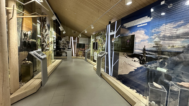 IMG 5603.jpg
