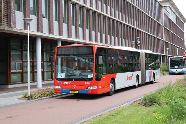 Regego 286 (5)