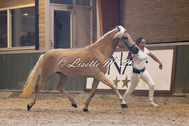 227 6