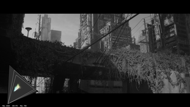 gamut-GOD0052