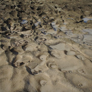 DSC01280
