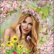 2.gif