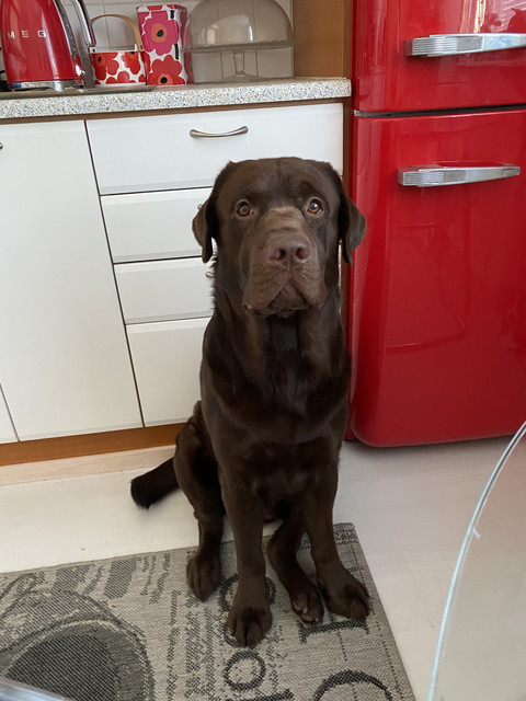 4-D400-D65-C532-4886-A3-D7-BFD848-D0-B56