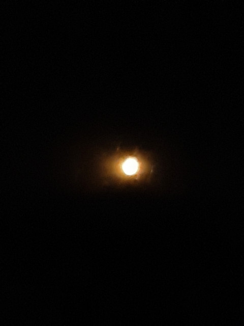20220210-033402