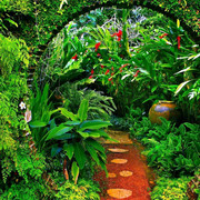 wp4571956-amazon-forest-wallpapers