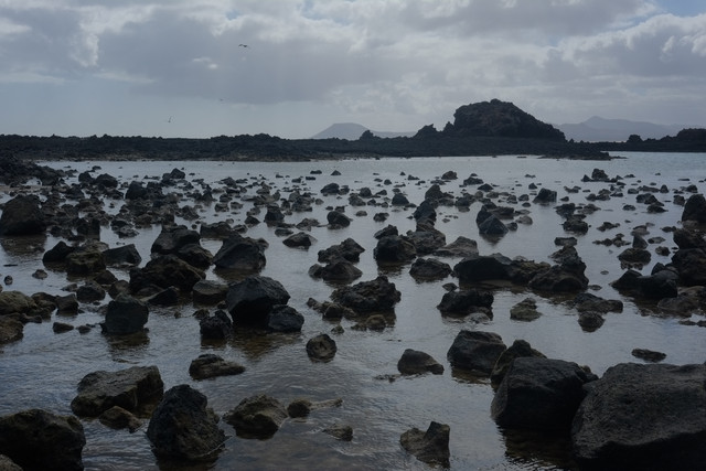 DSCF8669.jpg