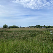 IMG-2561