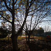 IMG-20211122-082626