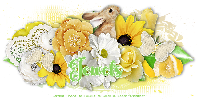 Jewels-4383-B