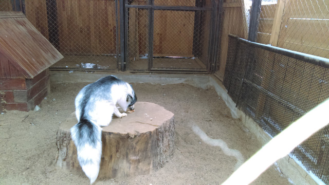 IMAG0569
