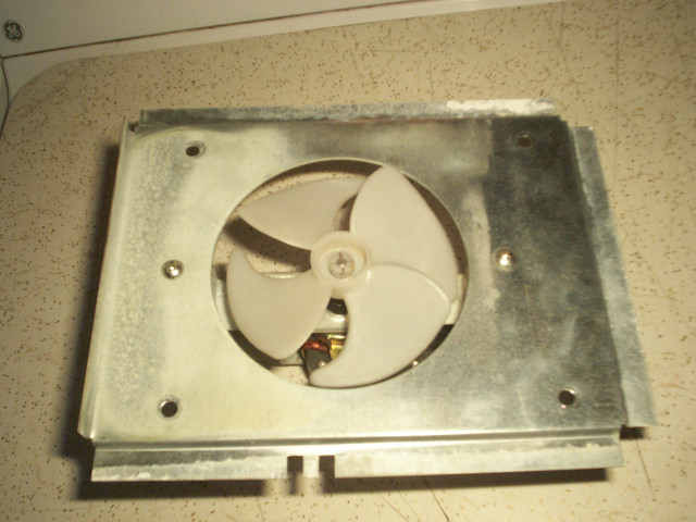 fan-4
