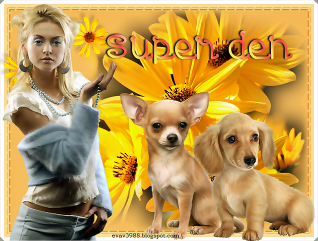 SUPER-DEN