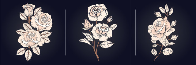 Rose-collection-01