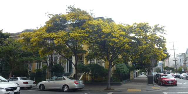 P1090769