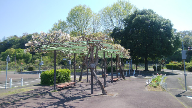 DSC-0060.jpg