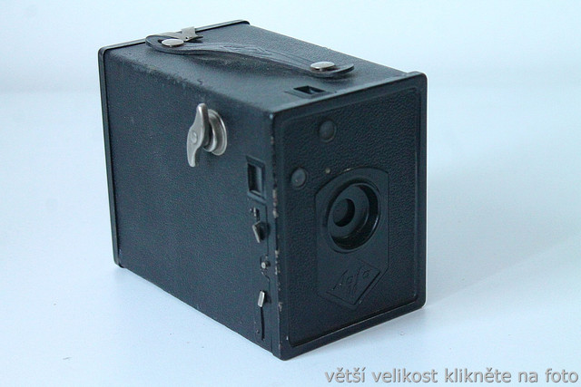 IMG-4242.jpg