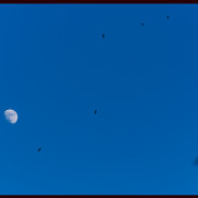 DSF6209 Edit