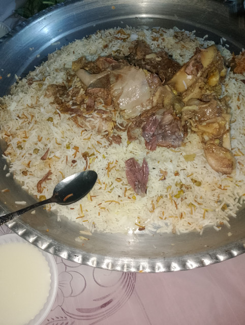 IMG ٢٠٢٦٠٦٢٤ ٢٠٥١٤٨