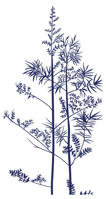 1ee591414a349e161c0a4e6622a67345.png
