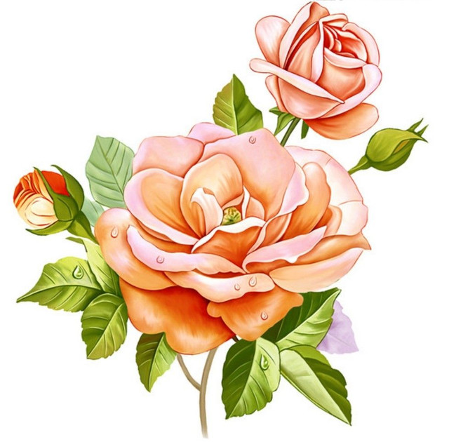 fb14ae0ae3cf839cfcec756df9a687ef.jpg