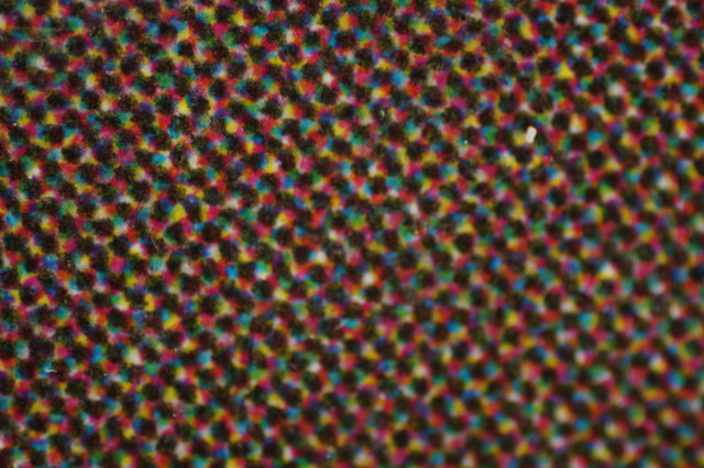 DSC01641.jpg