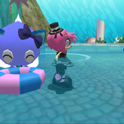 Hi-Lumi