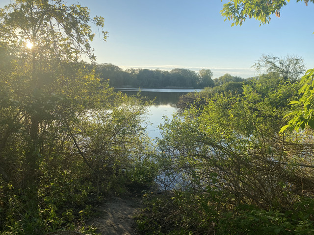 IMG 0362.jpg