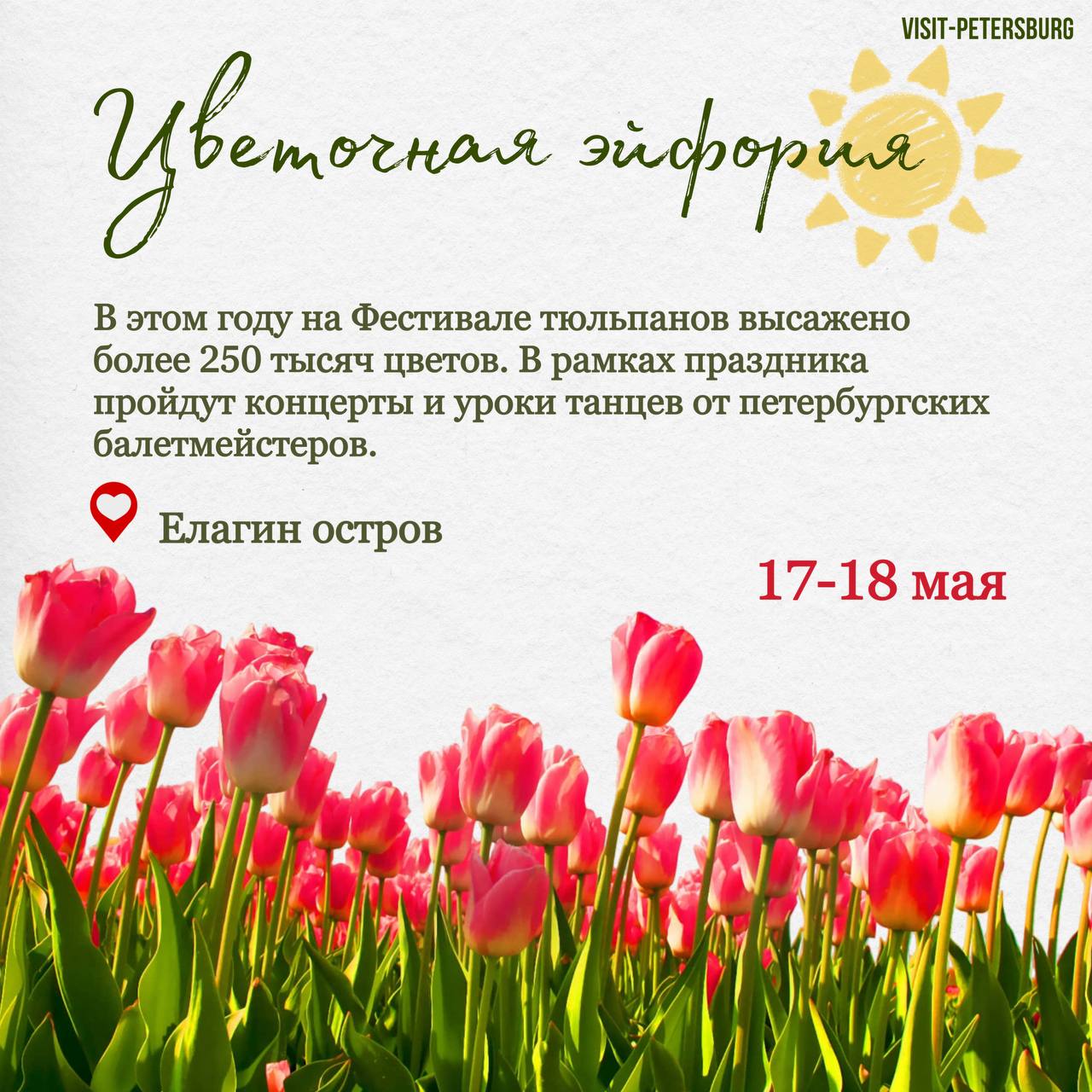 https://i.ibb.co/bRF2vdMK/spb-06.jpg