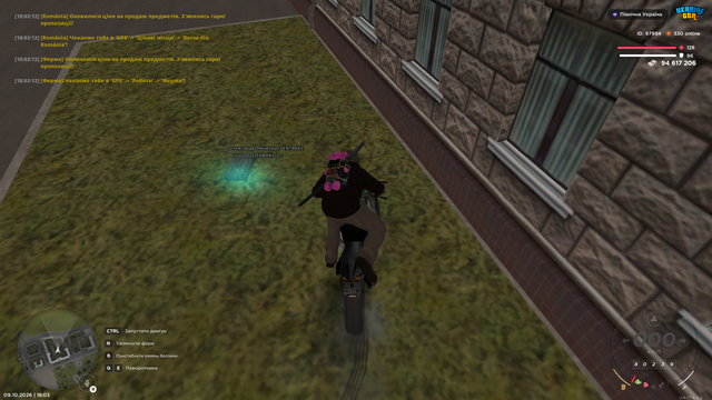 image 33