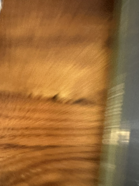 IMG 0632.jpg