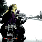 23.gif