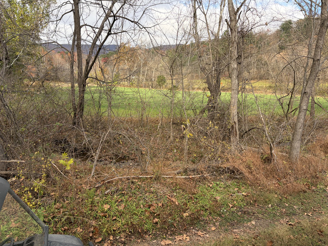IMG-8155