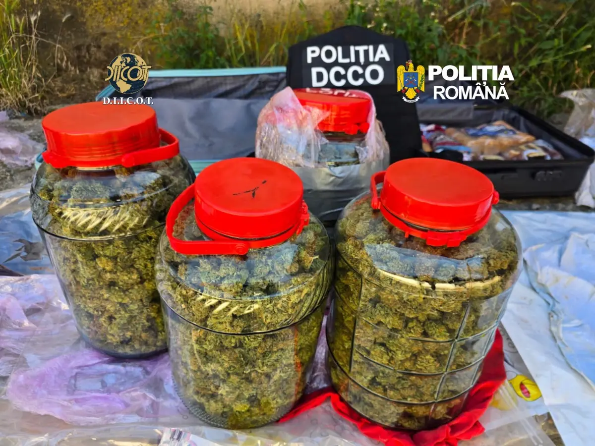 Doi bărbați arestați pentru trafic de droguri în Timișoara și Petroșani