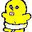 IMG-8401