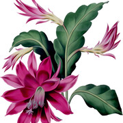shutterstock 1641807172