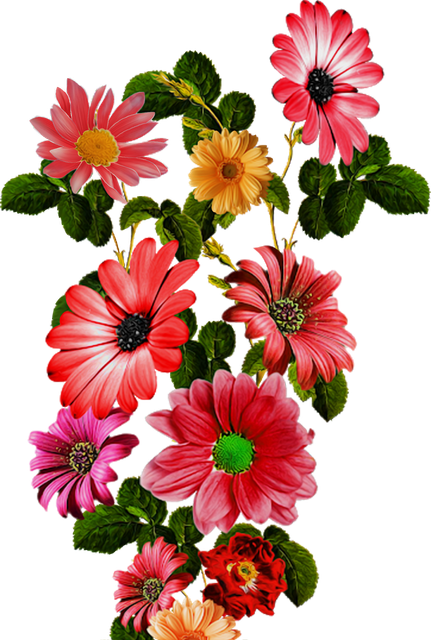 23ca7889df05a7ca95f9bf97e97f94f3.png