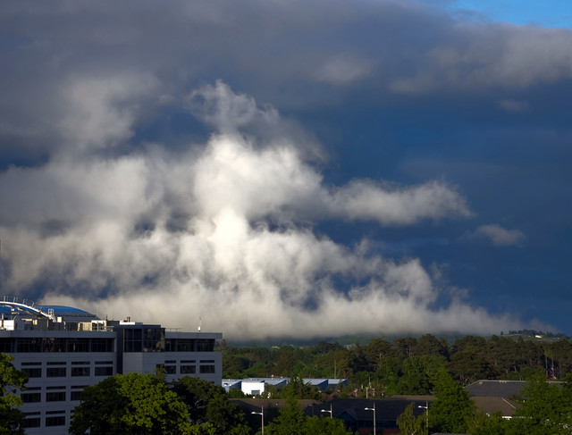 IMGP0618.jpg